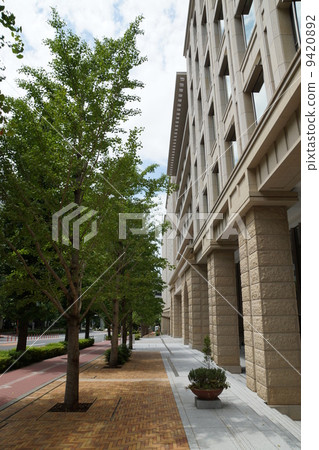 Gotenyama Akimichi 9420892