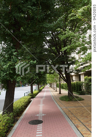 Gotenyama Akimichi Gotenyama Akimichi 9420893