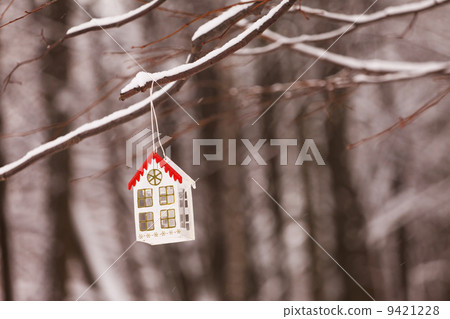 lantern in the snow 9421228