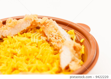 rice with chicken 9422220