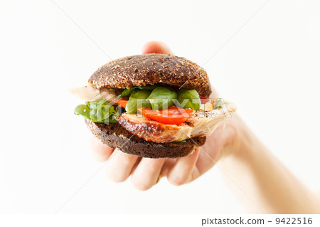 sandwich with chicken and cheese 9422516