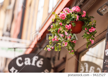 street cafe 9422527
