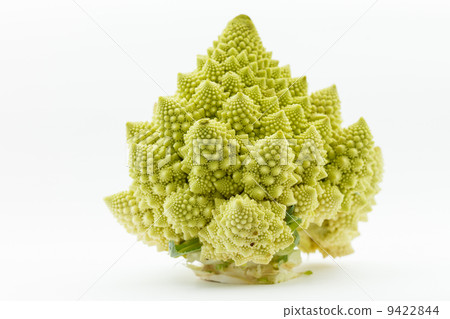 Romanesco broccoli (Brassica oleracea) 9422844