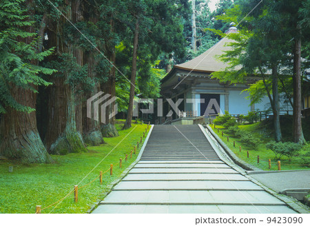 Hiraizumi gold medal 9423090