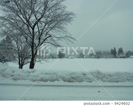 Snow scenery in Akita prefecture Snow scenery in Akita prefecture 9424602