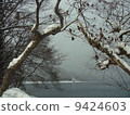 Winter Tazawako looking through branches 9424603
