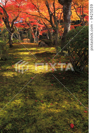 Temple of the Temple of the Autumn 9425039