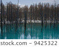 Blue pond of remaining snow 9425322