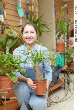 woman with Nolina plant in pot at flower store woman with Nolina plant in pot at flower store 9427909