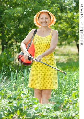 woman spraying vegetables plant woman spraying vegetables plant 9427935