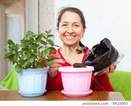 Mature woman transplants flower Mature woman transplants flower 9428005