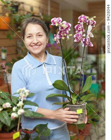 woman with Phalaenopsis orchid at flower shop woman with Phalaenopsis orchid at flower shop 9428044