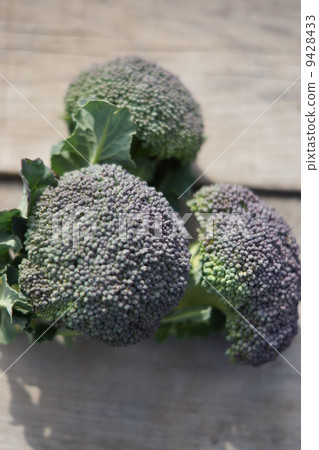 Timeless broccoli Timeless broccoli 9428433