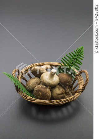Heaps of shiitake mushrooms Heaps of shiitake mushrooms 9428802