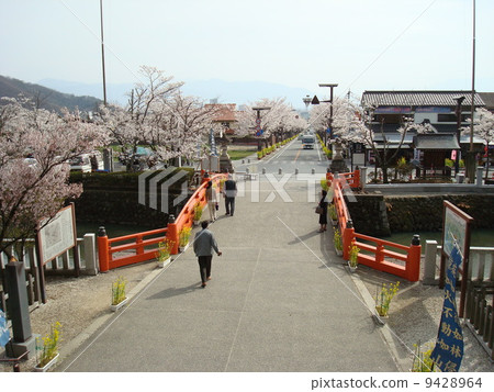 Takeda-dori of Takeda Shrine and Takeda-dori 9428964