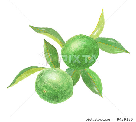 green tangerine 9429156