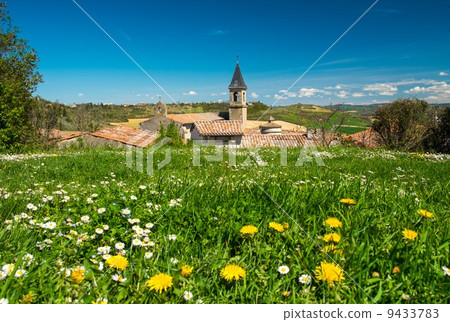 Flower field in front of Lautrec village, France 9433783