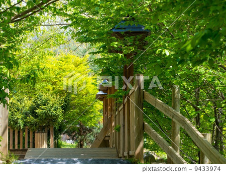 Wooden walkway in a park Wooden walkway in a park 9433974