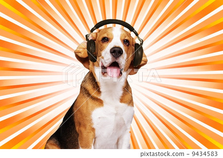 Bamboo plant over abstract green background Bamboo plant over abstract green background 9434583