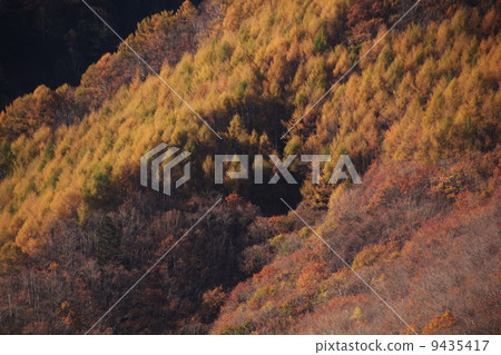 Norikura Kogen秋葉 Norikura Kogen秋葉 9435417