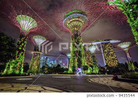 Night view of Gardens by the Bay, Singapore 9435544