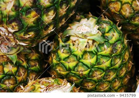 pineapple  9435799