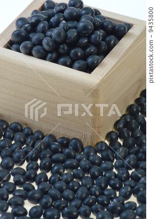 Black soybean 9435800