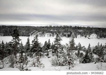 Winter Sweden 9436662