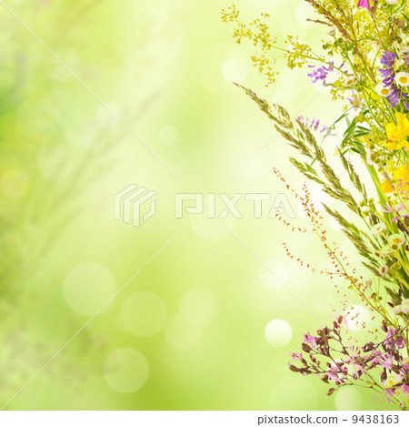 Floral holiday background 9438163