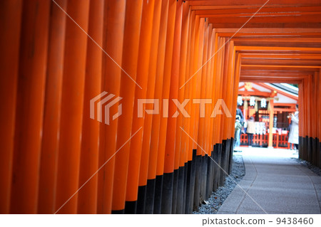 伏見稻荷 9438460