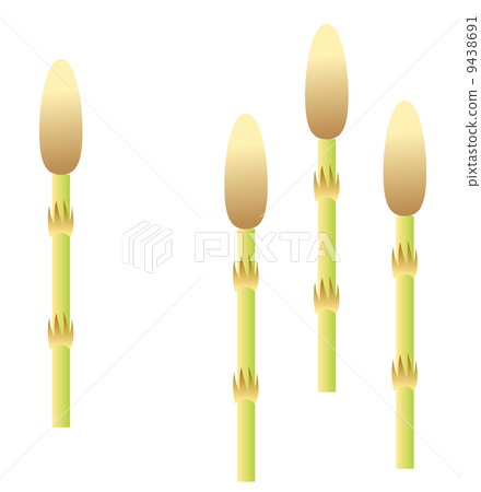 Horsetail 9438691