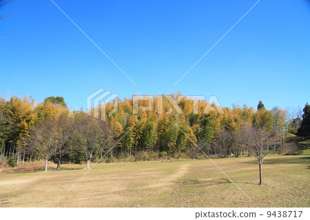 Winter Park 9438717