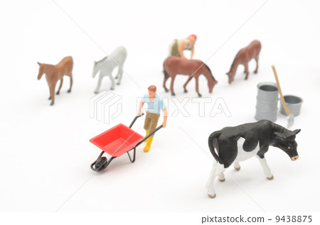 奶牛養殖 9438875