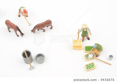 奶牛養殖 9438878