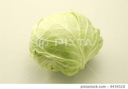 Spring cabbage 9439328