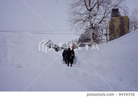 Snow country 9439356