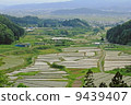 水稻梯田鄉村風光 水稻梯田鄉村風光 9439407