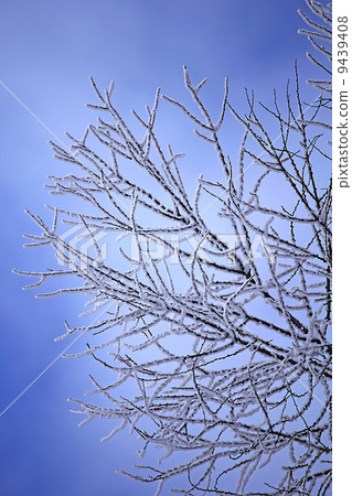  有霧的冰 9439408