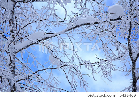  有霧的冰 9439409