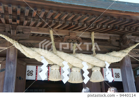 Large tame Large tame 9440114