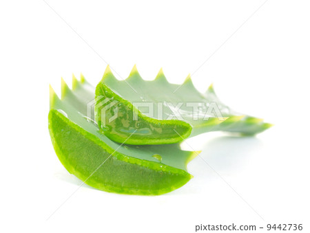 pieces of aloe vera 9442736