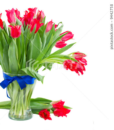 spring red tulips in vase spring red tulips in vase 9442758