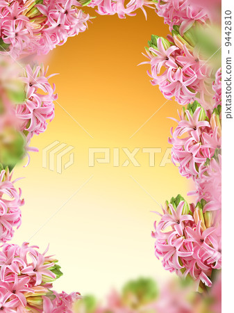 Decoration hyacinth frame 9442810