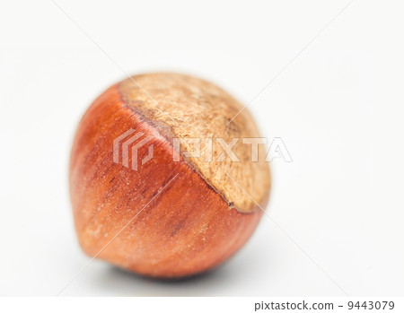 hazel nut macro shallow DOF on white with shadow hazel nut macro shallow DOF on white with shadow 9443079