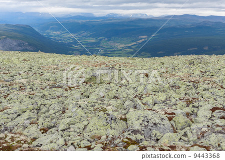 Barren landscape seen from Blahoe Mountain (Vaga, Oppland, Norwa Barren landscape seen from Blahoe Mountain (Vaga, Oppland, Norwa 9443368
