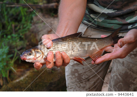 Fisherman and fish Fisherman and fish 9443641