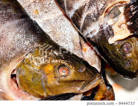 Frozen fish. 9444737