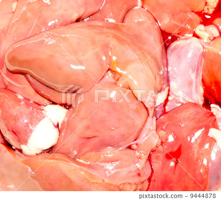 Offal background. Offal background. 9444878