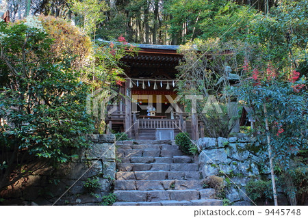 京都宇治頂級神社春日 9445748
