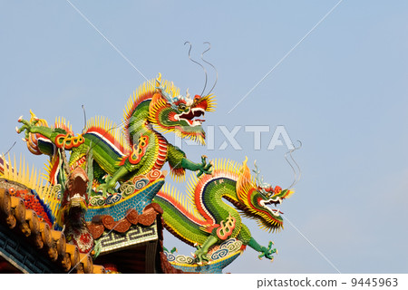 dragons dragons 9445963